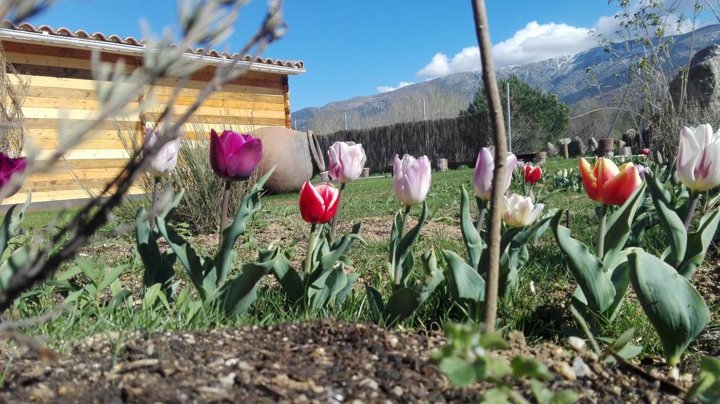 La Cabana Del Alberche Navaluenga Zewnętrze zdjęcie